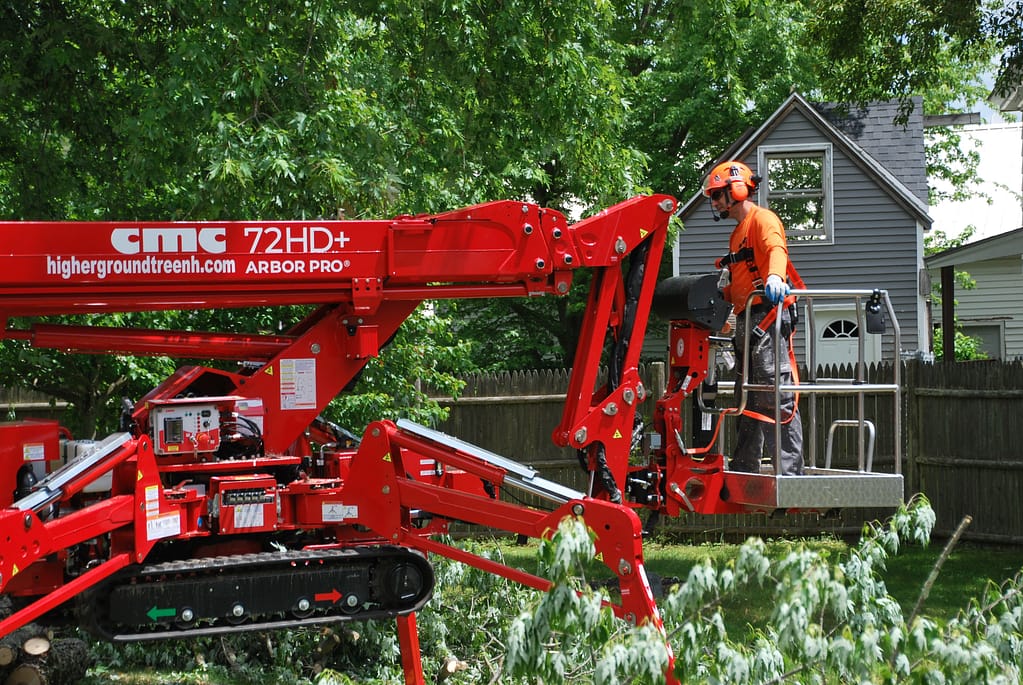 Why Customers Trust Our Tree Services Near Me